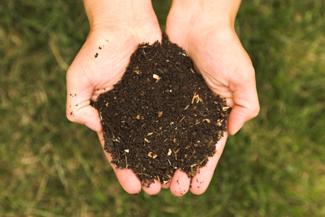 Real_Compost2 Real_Compost2