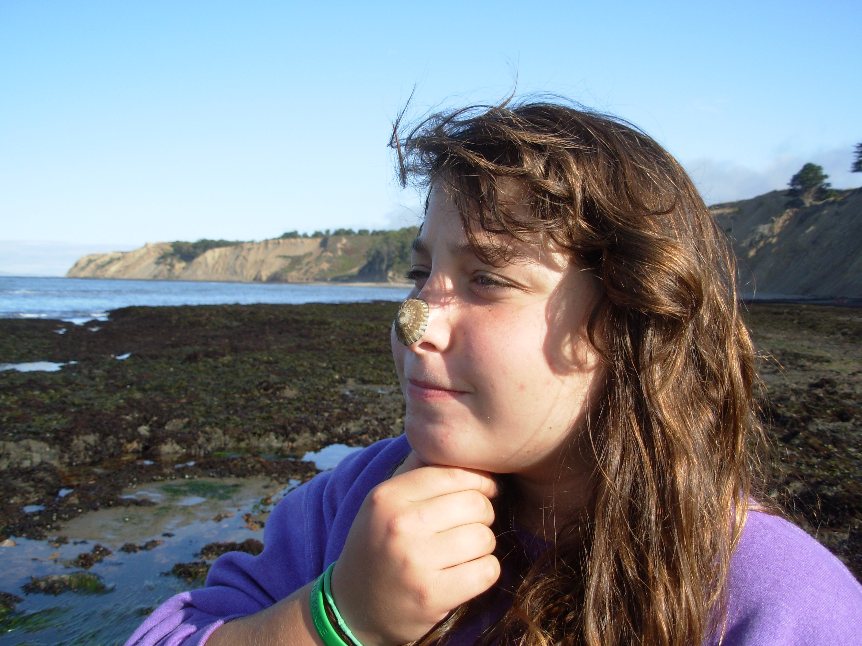 tideanna2 tideanna2