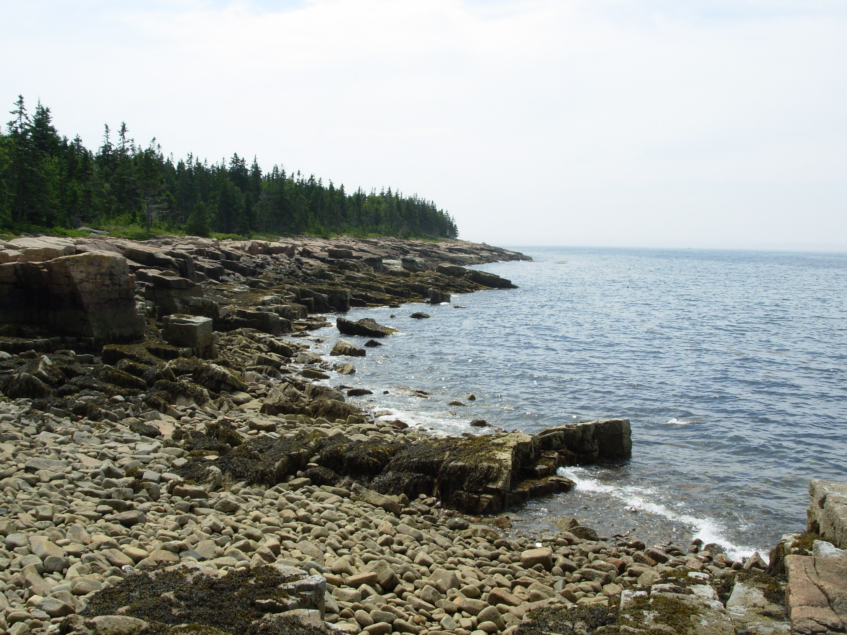 acadia1 acadia1