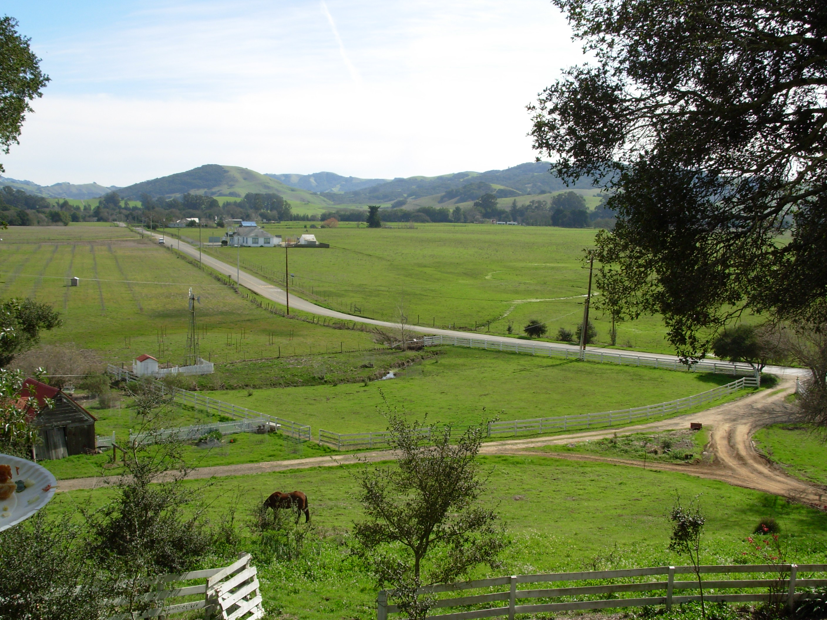 pasture