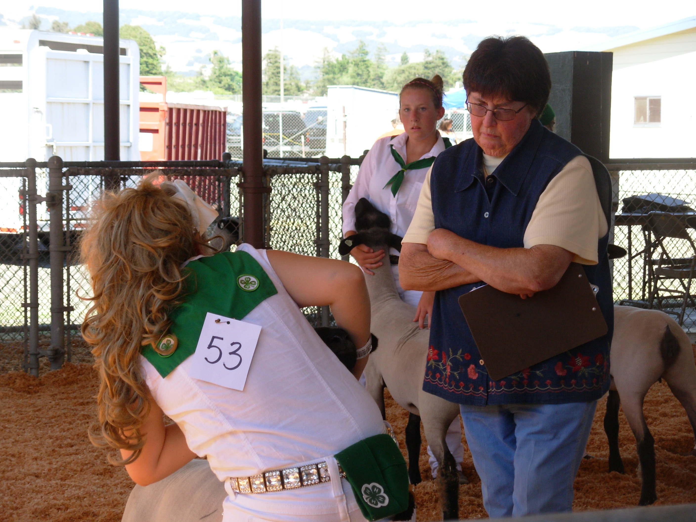 fair10sheepshow3