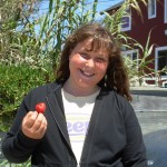 summerberry summerberry