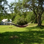 summerhammock summerhammock
