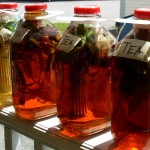 summersuntea summersuntea