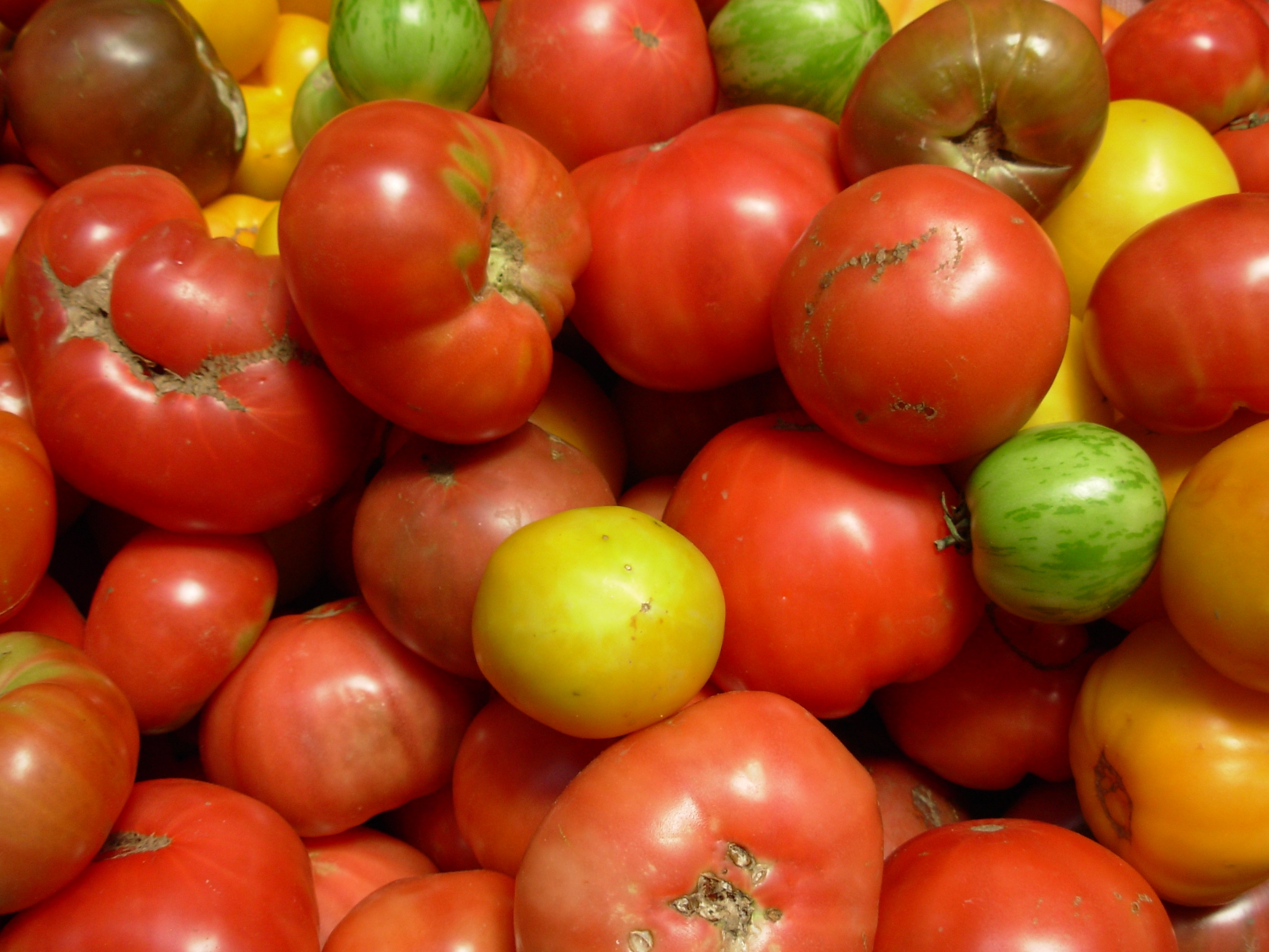 heirloom_tomatoes