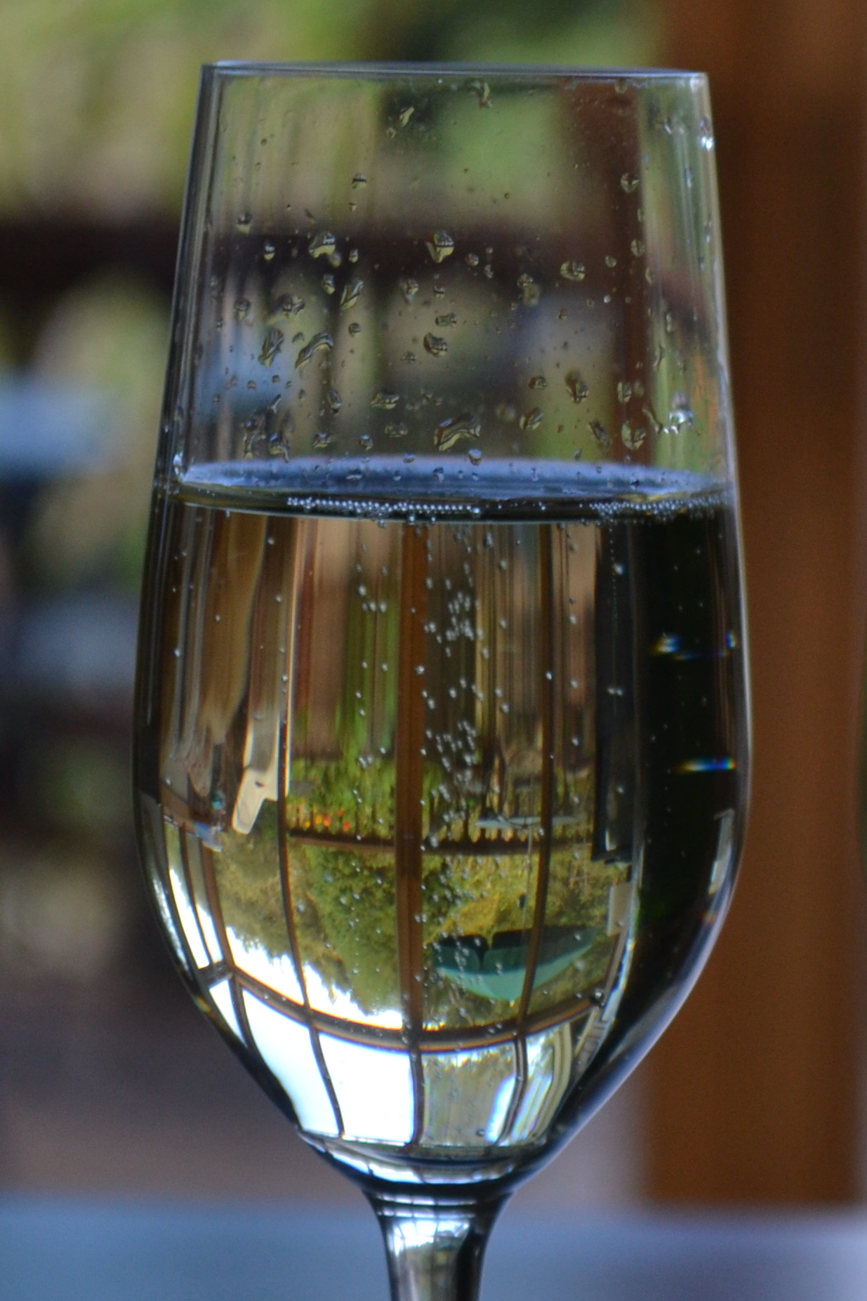 champagne1glass