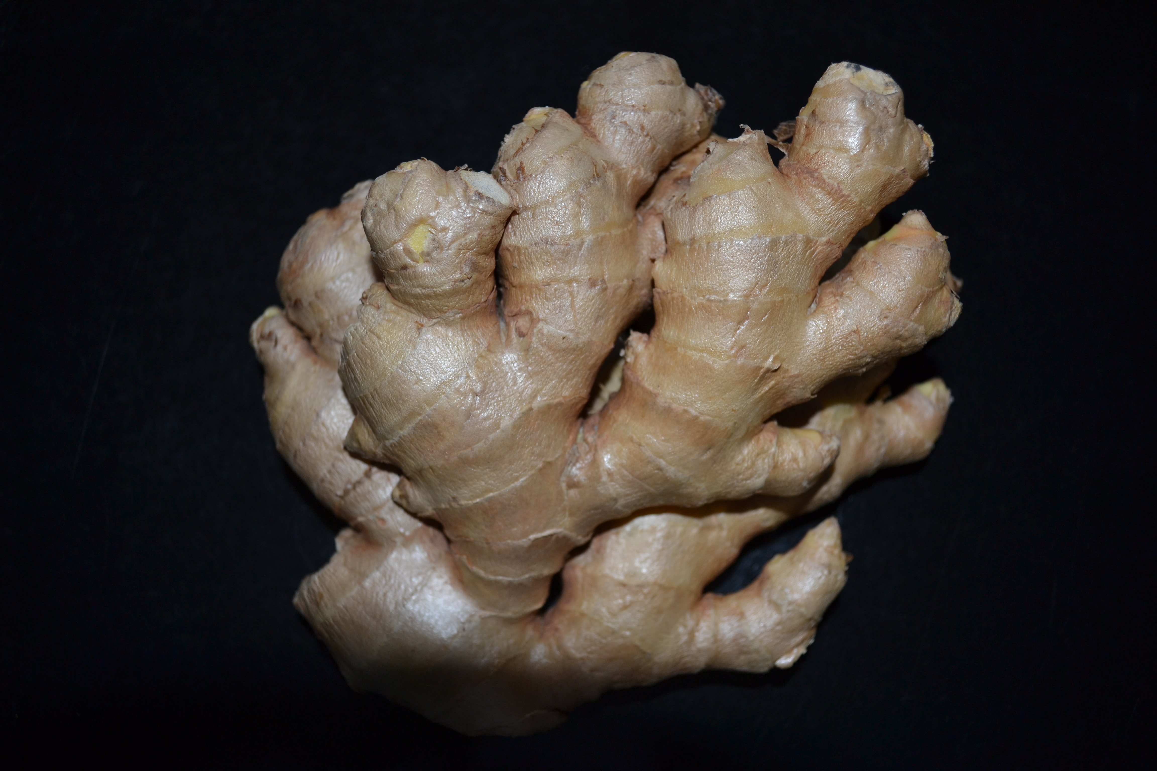 gingerchickenginger