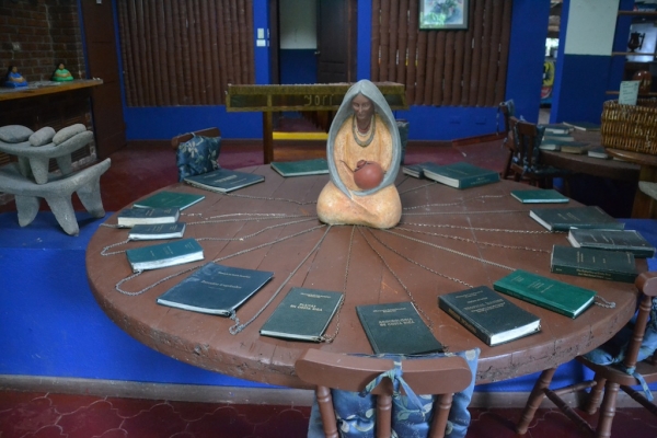 sarapiqui8